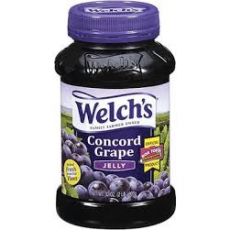 WELCHS CONCORD GRAPE JAM 16OZ 